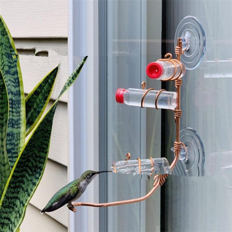 Window Hummingbird Feeder | Clear Glass Feeder for Close-Up Bird Watching
