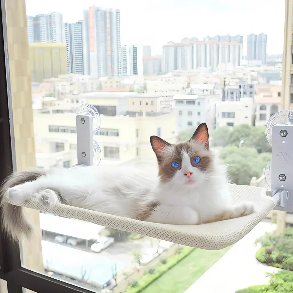 Foldable Window Hammock for Cats with Removable Cover and Strong Support