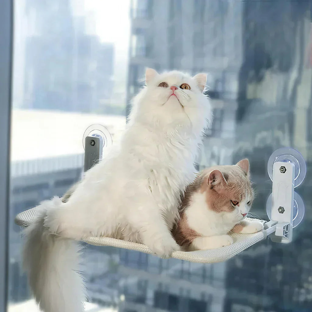 Foldable Window Hammock for Cats with Removable Cover and Strong Support