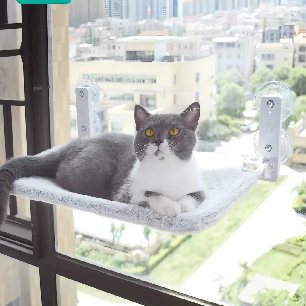 Foldable Window Hammock for Cats with Removable Cover and Strong Support