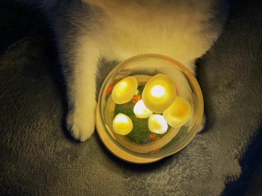 MagicalGlow - Mushroom Glass Cloche Night Light