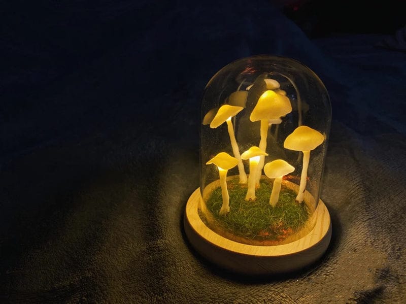 MagicalGlow - Mushroom Glass Cloche Night Light