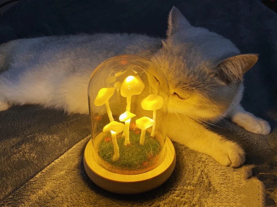MagicalGlow - Mushroom Glass Cloche Night Light