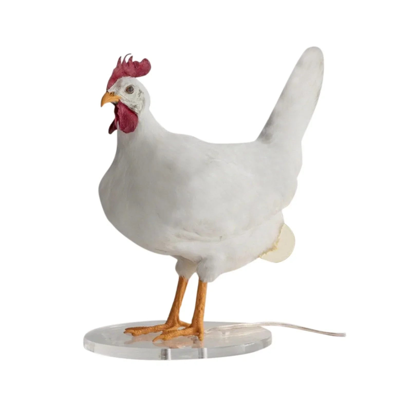 ChickGlow - Whimsical Chicken-Shaped Table Lamp