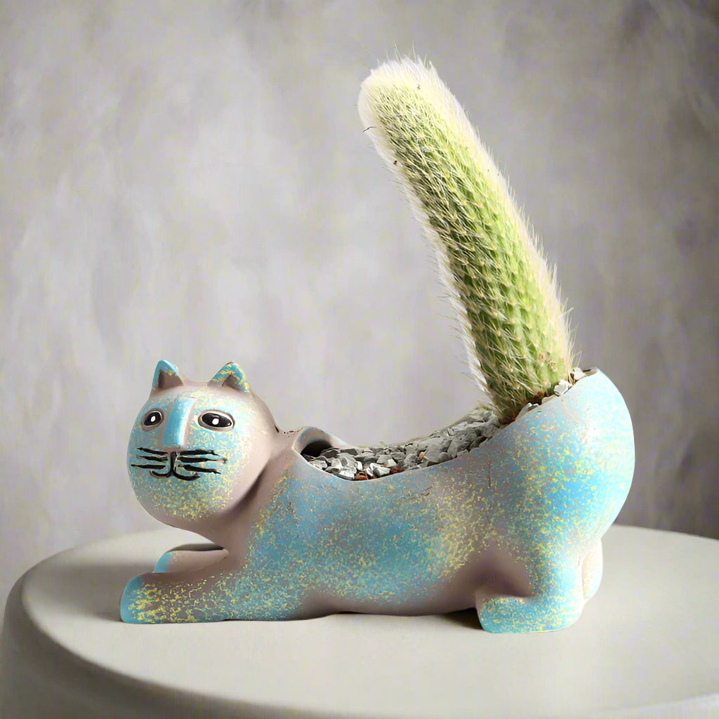 Playful Cat Ceramic Planters | Adorable Decorative Pots for Home & Office