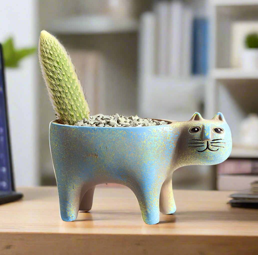 Playful Cat Ceramic Planters | Adorable Decorative Pots for Home & Office