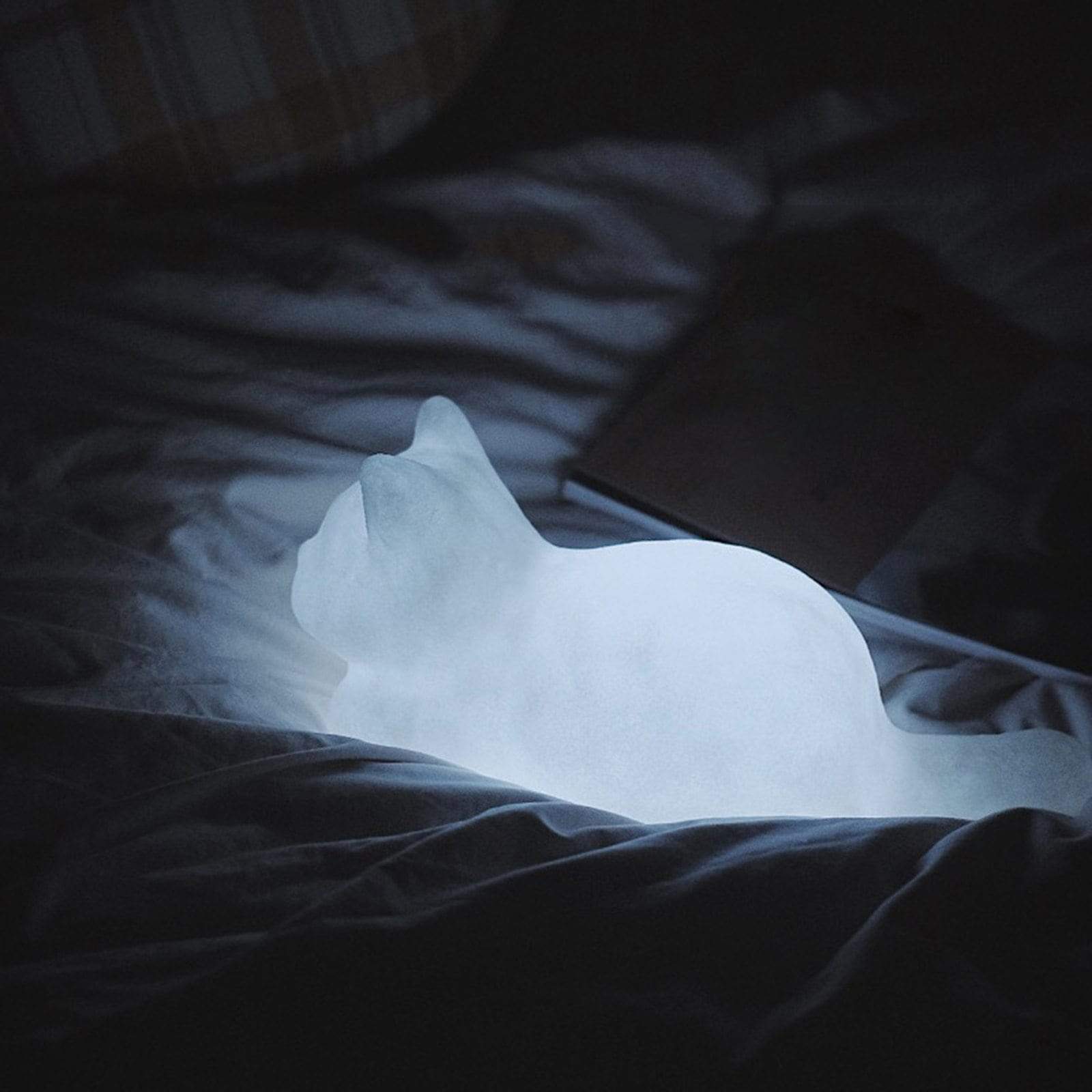 GlowPaws - Illuminated Cat Night Light