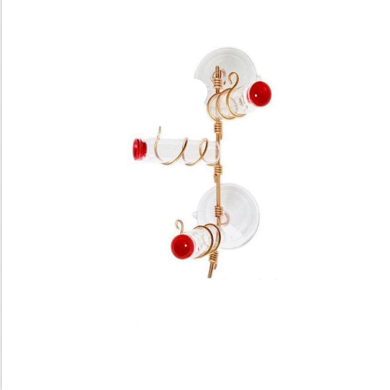 Window Hummingbird Feeder | Clear Glass Feeder for Close-Up Bird Watching