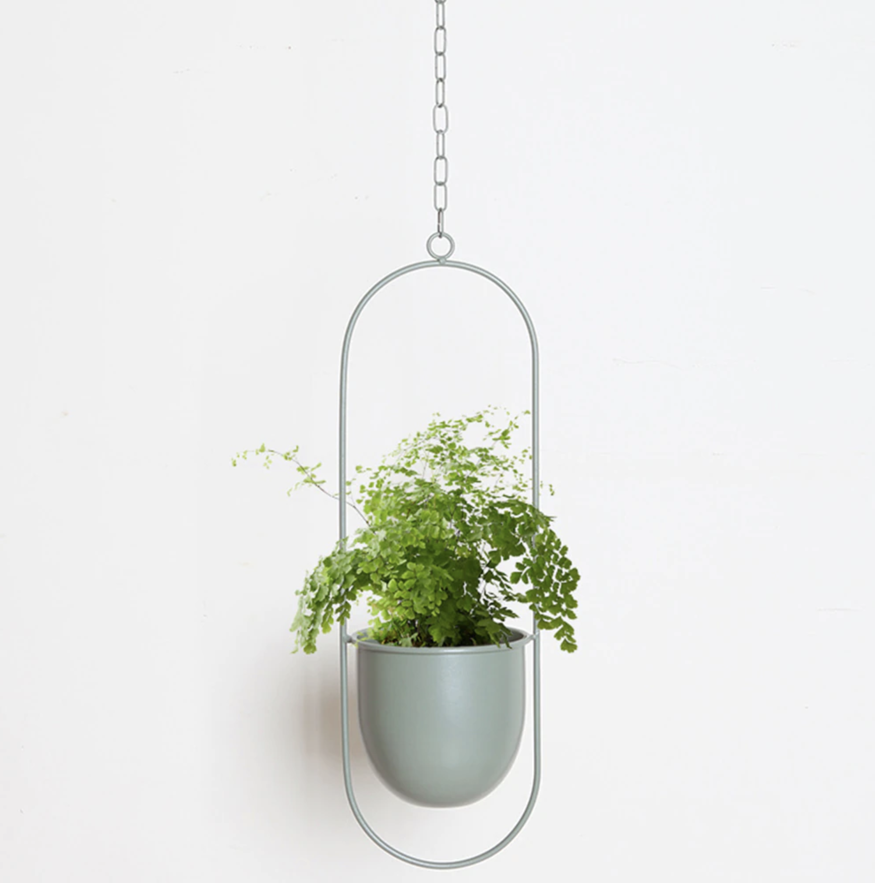 FloraFrame LED Botanical Wall Art