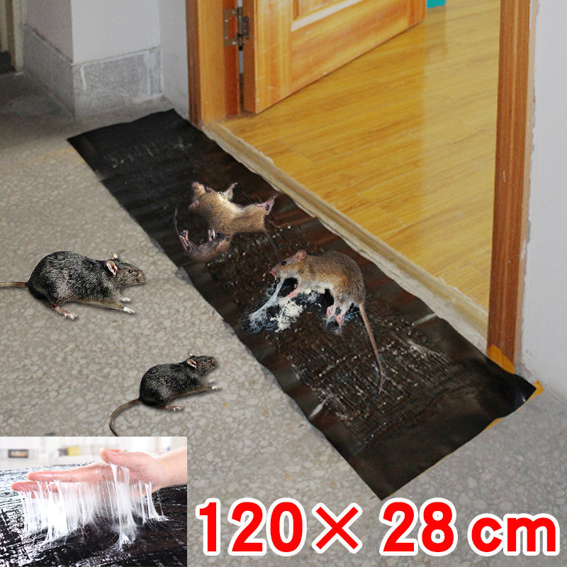Sticky Mouse Trap Mat – Safe and Effective Pest Control for Your Home