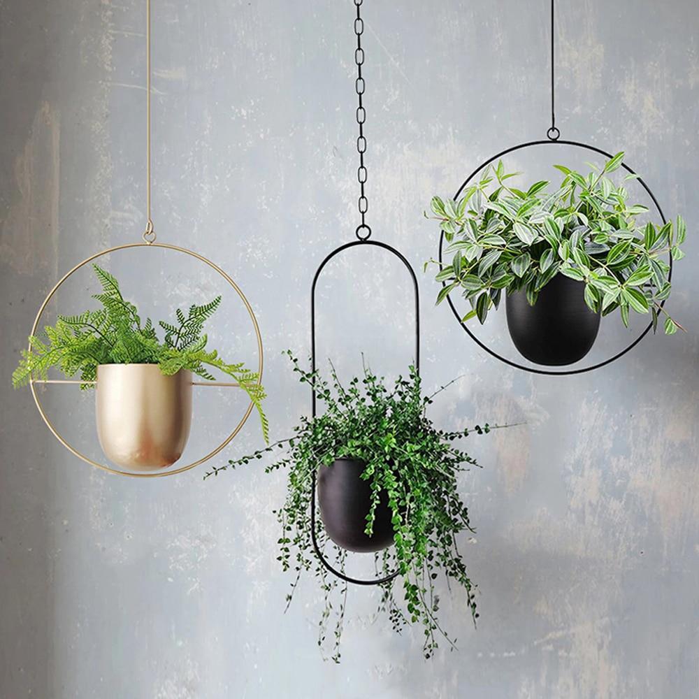 FloraFrame LED Botanical Wall Art